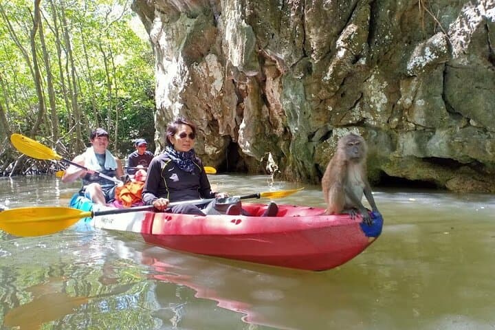 Sunset Kayaking in Ao Thalane: Mangrove Canyons & BBQ Dinner photo 4