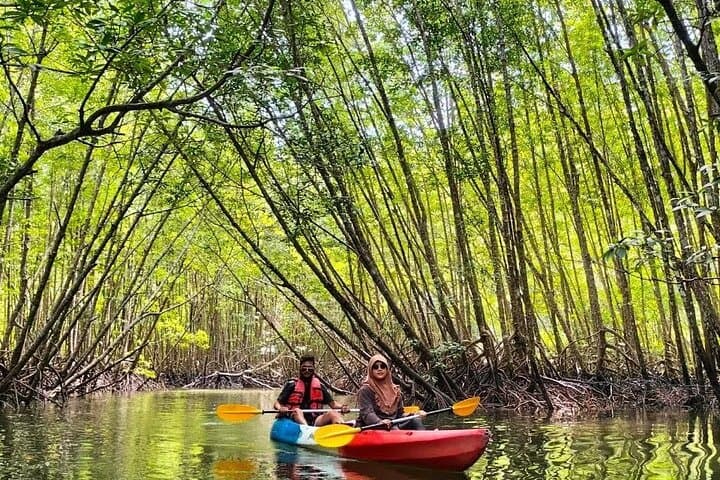 Sunset Kayaking in Ao Thalane: Mangrove Canyons & BBQ Dinner photo 6
