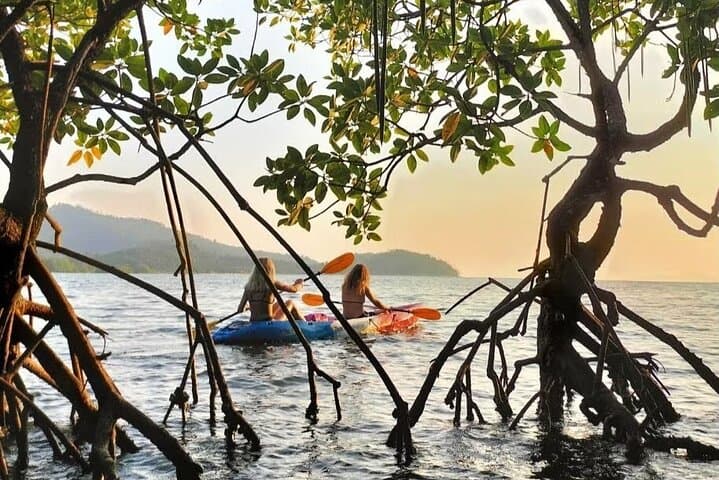 Sunset Kayaking in Ao Thalane: Mangrove Canyons & BBQ Dinner photo 2