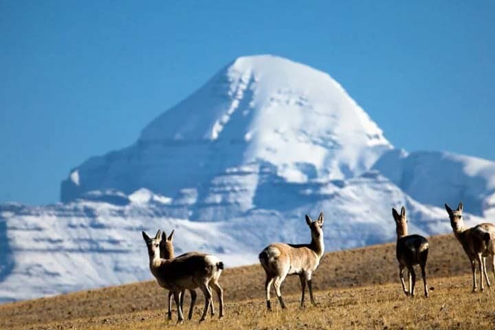 Lhasa to Mt. Kailash: 15-Day Trek & Everest Base Camp Adventure photo 2