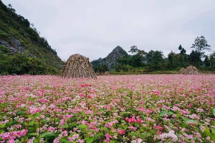 Ha Giang Loop 3-Day Private Easy Rider Motorbike Tour photo 4
