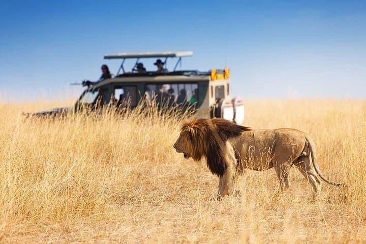 Three-Day Maasai Mara Safari: Private 2-Night Wildlife Expedition from Nairobi photo 2