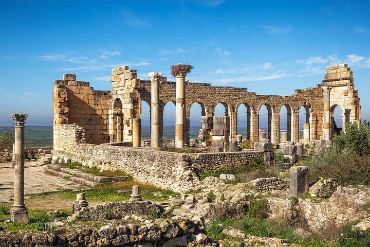 Fez to Volubilis, Moulay Idriss & Meknes: Private Day Trip from Fez photo 4