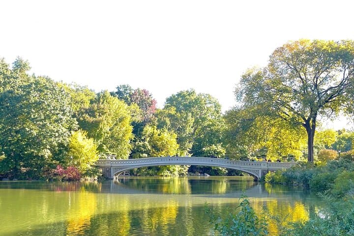 Central Park Pedicab Tour: 60–120 Minute Guided Rickshaw Ride photo 6