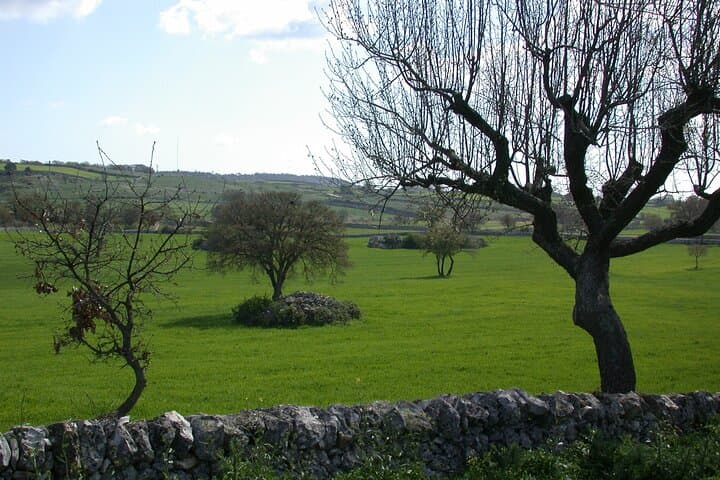 Alberobello Trulli: Private 2-Hour Walk Through Dry-Stone Origins photo 3