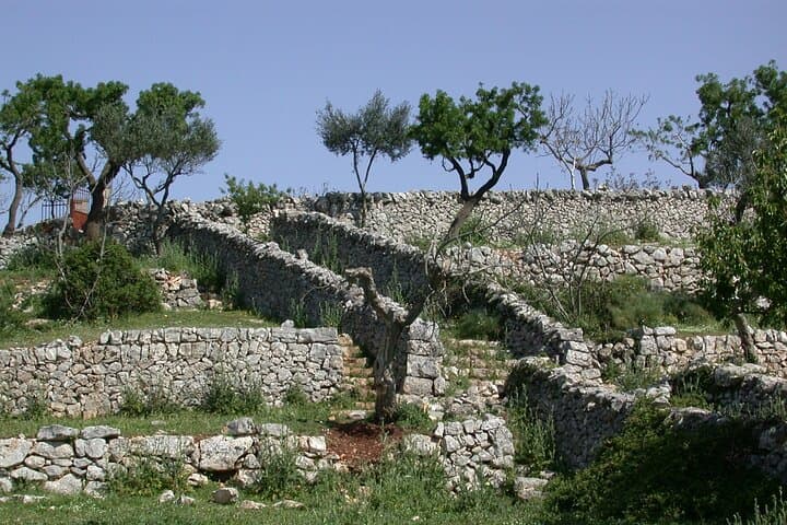 Alberobello Trulli: Private 2-Hour Walk Through Dry-Stone Origins