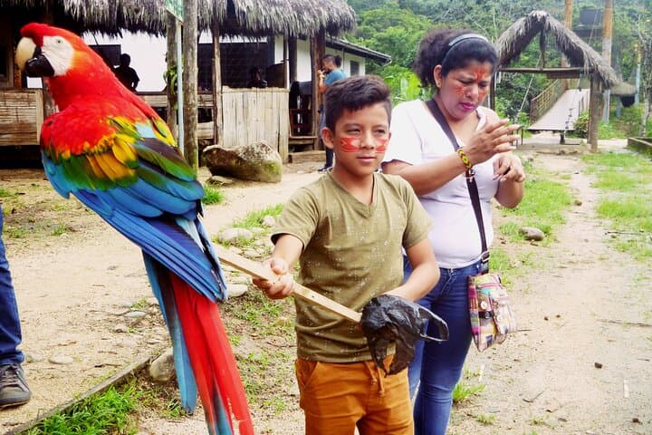 Full-Day Jungle Immersion: Puyo Indigenous Community, Waterfall Swim & Cocoa Route photo 5