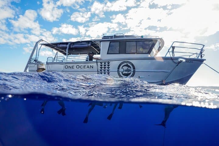 Swim with Sharks in Haleiwa: Ethical Shark Tours & Marine Science Experience photo 2