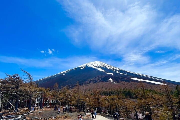 Mt Fuji & Hakone Day Trip from Tokyo: Sky Gondola, Lake Cruise & 5th Station photo 4
