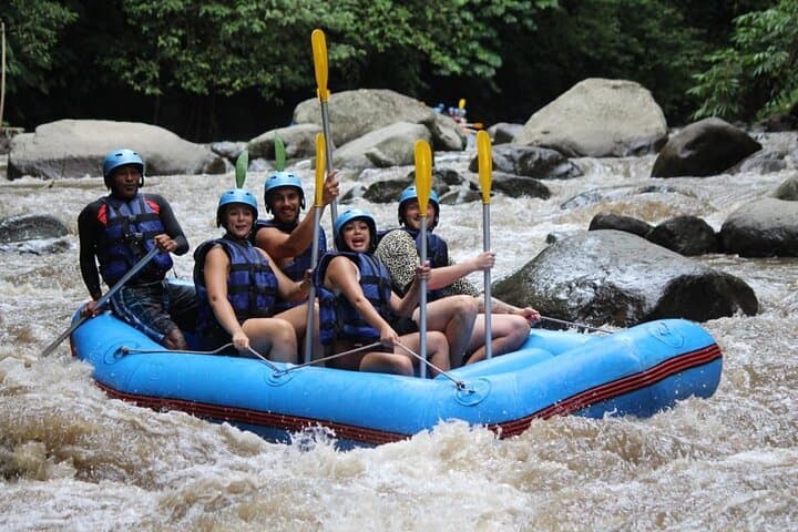 Ayung River White-Water Rafting and Ubud Cultural Tour — Full-Day Private Adventure