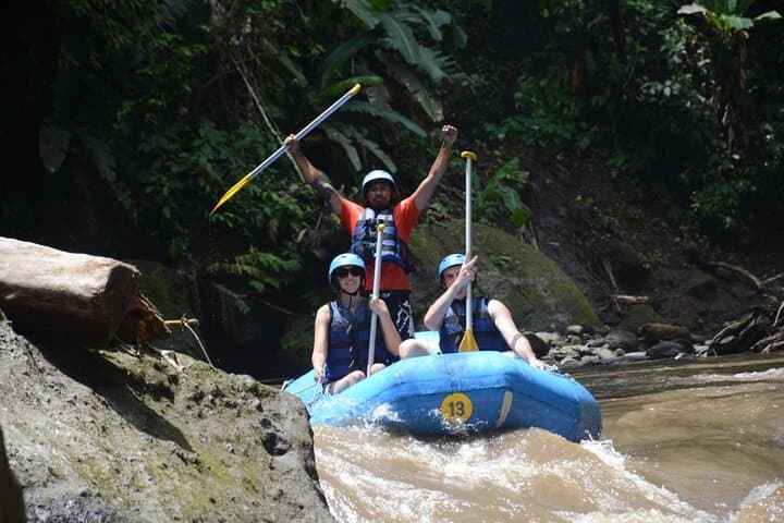 Ayung River White-Water Rafting and Ubud Cultural Tour — Full-Day Private Adventure photo 2