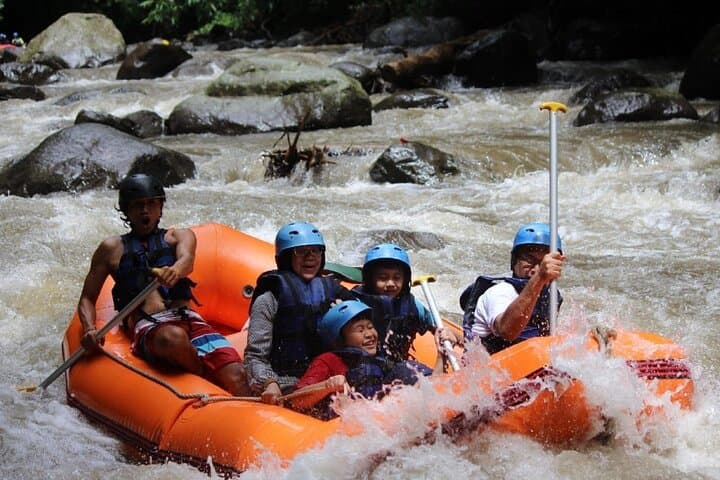 Ayung River White-Water Rafting and Ubud Cultural Tour — Full-Day Private Adventure photo 3