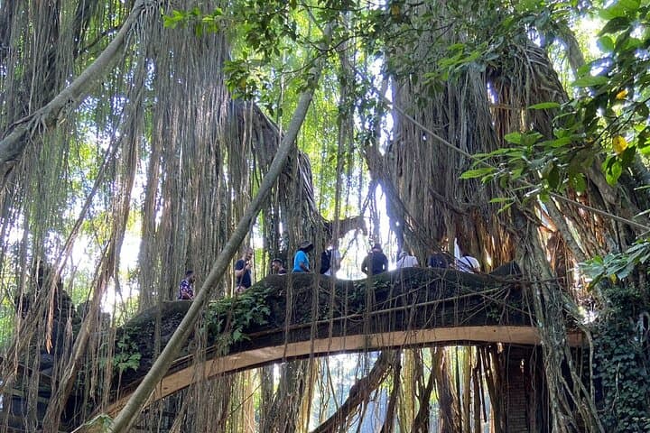 Ayung River White-Water Rafting and Ubud Cultural Tour — Full-Day Private Adventure photo 4