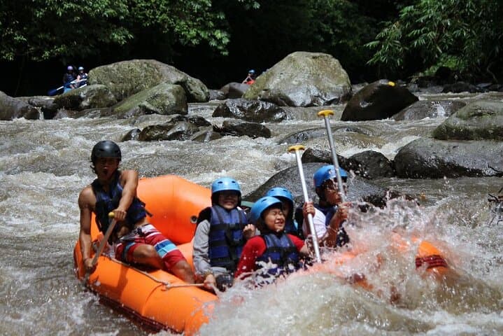 Ayung River White-Water Rafting and Ubud Cultural Tour — Full-Day Private Adventure photo 6