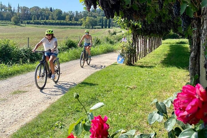 E‑Bike Tour and Wine Tasting in Lazise: Lake Garda Countryside Ride