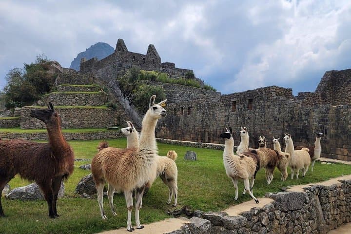 2-Day Inca Trail to Machu Picchu: Km 104 Short Trek to the Sun Gate photo 2