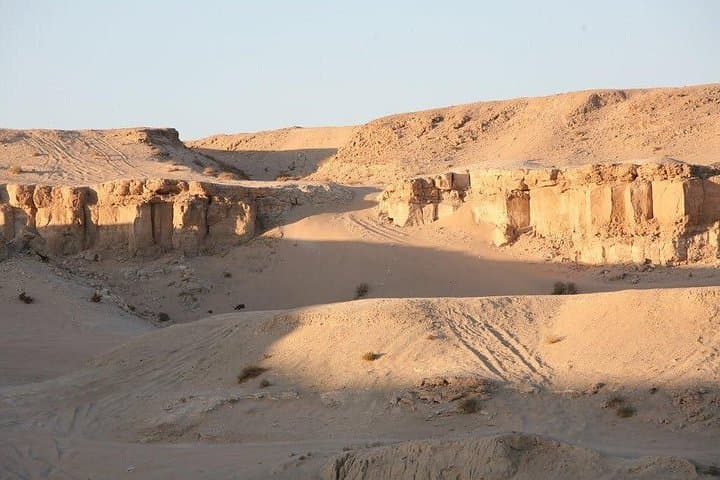 Blue Lake Farm & Kuwait Desert Border Tour: Camels, Causeway and Agritourism photo 3