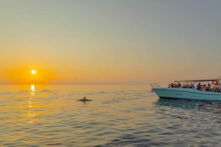 Dawn Dolphin Watching Boat Trip in Cabo de Formentor, Mallorca photo 4