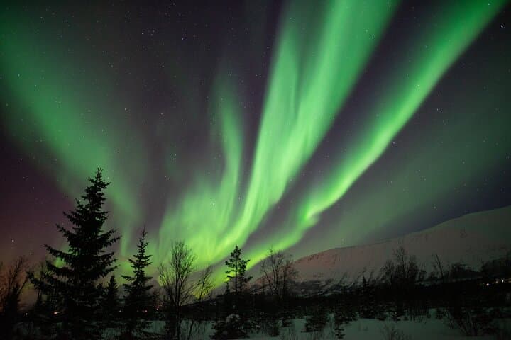 Tromsø Aurora Safari: Heated Camps, Campfire & Northern Lights Chase photo 4