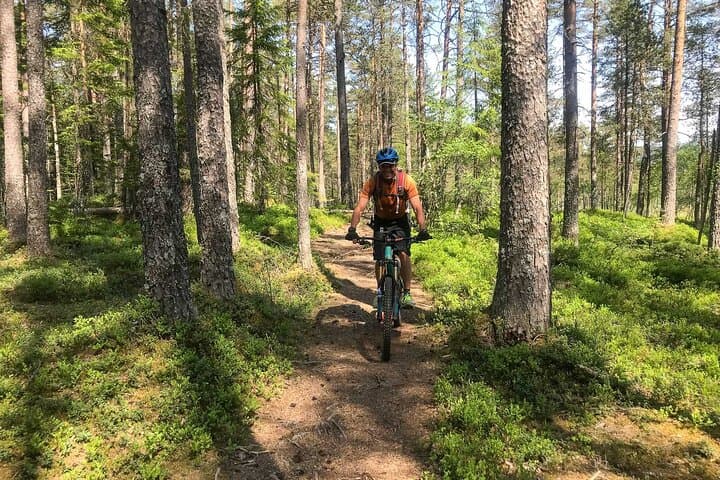 Voss Storålsen Mountain Bike Tour: Enduro Singletrack in Norway's Alpine Forests photo 6