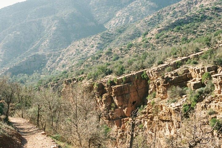 Paradise Valley Day Trip from Agadir: Hike, Swim & Argan-Culture Stop photo 4