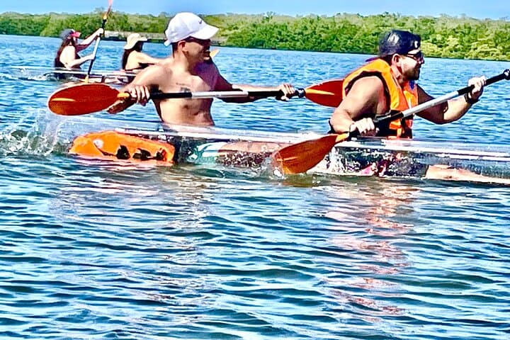 Clear Kayak Tours in Sarasota — Guided Day & Night Eco Kayaking photo 5