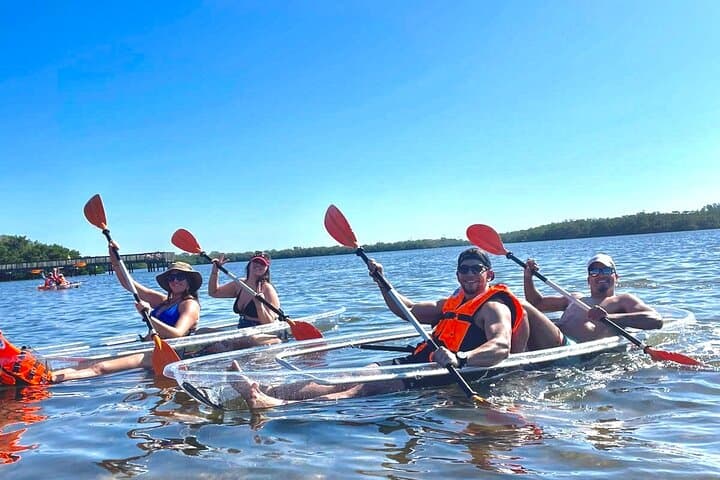Clear Kayak Tours in Sarasota — Guided Day & Night Eco Kayaking