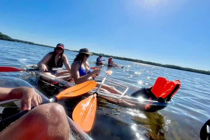 Clear Kayak Tours in Sarasota — Guided Day & Night Eco Kayaking photo 2