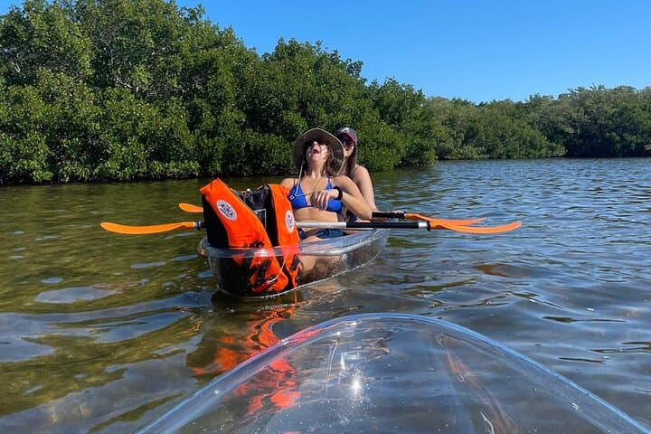 Clear Kayak Tours in Sarasota — Guided Day & Night Eco Kayaking photo 3