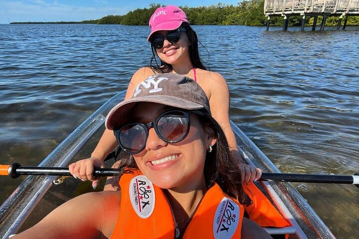 Clear Kayak Tours in Sarasota — Guided Day & Night Eco Kayaking photo 6