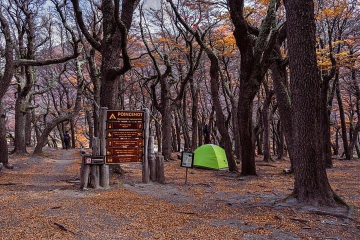 Trekking the Two Lagoons: Laguna de los Tres Full-Day from El Calafate photo 3