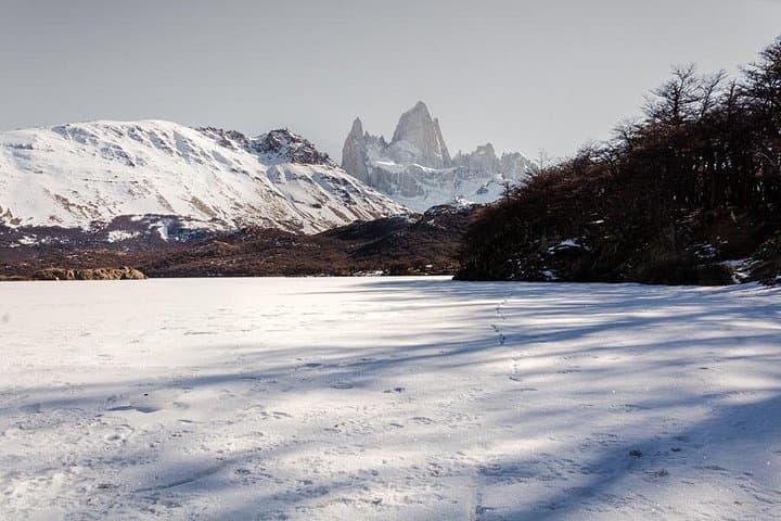 Trekking the Two Lagoons: Laguna de los Tres Full-Day from El Calafate photo 4