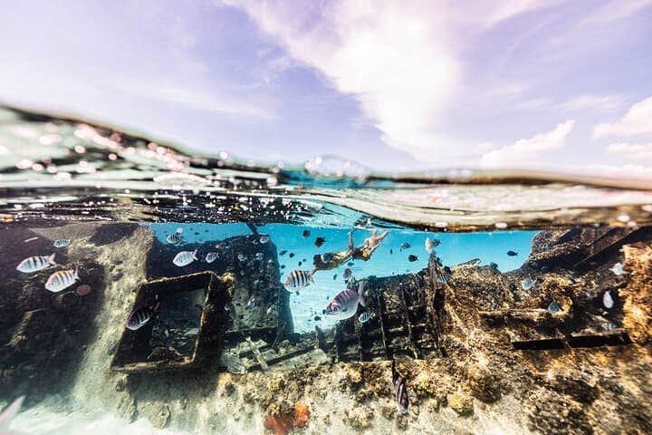 Explore Cancun’s 5-in-1 Snorkel Tour — Reefs, Wrecks, Turtles & a Cenote photo 6
