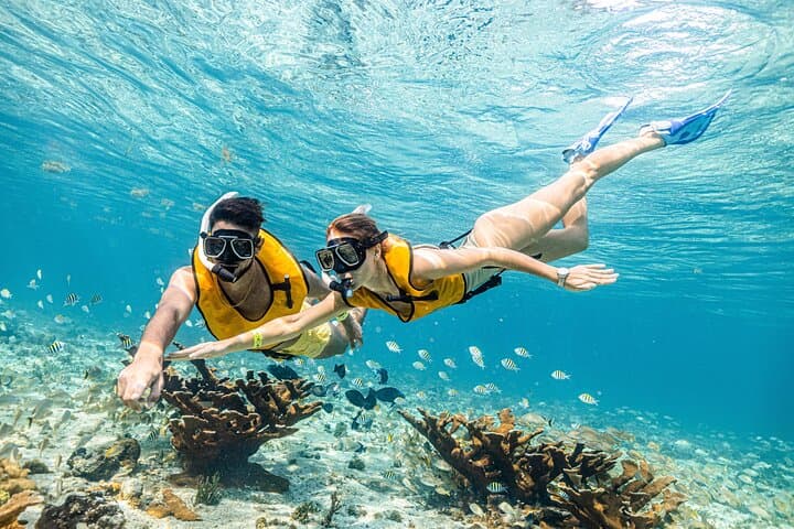 Explore Cancun’s 5-in-1 Snorkel Tour — Reefs, Wrecks, Turtles & a Cenote