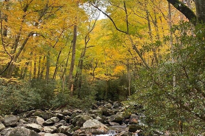 Mountaineer's Way Hike in the Smokies — Guided Historic Trail from Gatlinburg photo 3