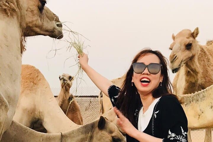 Self-Drive Quad Biking and Sandboarding in Dubai's Lahbab Red Dunes photo 4