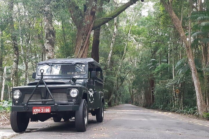 Jeep Tour: Rio Botanical Garden & Tijuca Rainforest Adventure