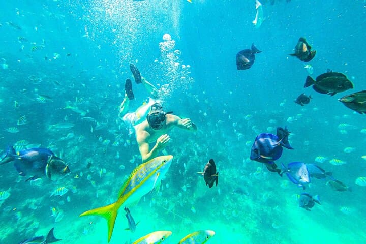 Adults-Only Catamaran Snorkel & Floating Kitchen at Punta Cana's Coral Nursery photo 2