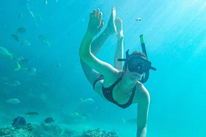 Adults-Only Catamaran Snorkel & Floating Kitchen at Punta Cana's Coral Nursery photo 4