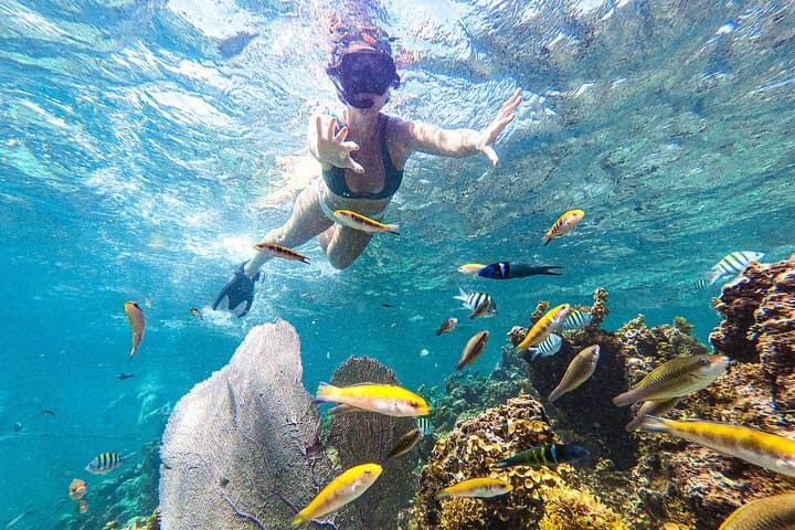 Punta Cana Catamaran Snorkel & Floating Kitchen: Coral Gardens to Natural Pools photo 4