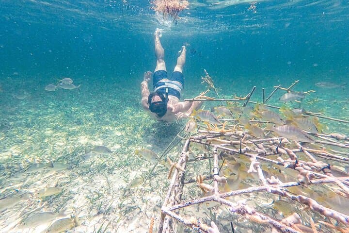 Punta Cana Catamaran Snorkel & Floating Kitchen: Coral Gardens to Natural Pools photo 5