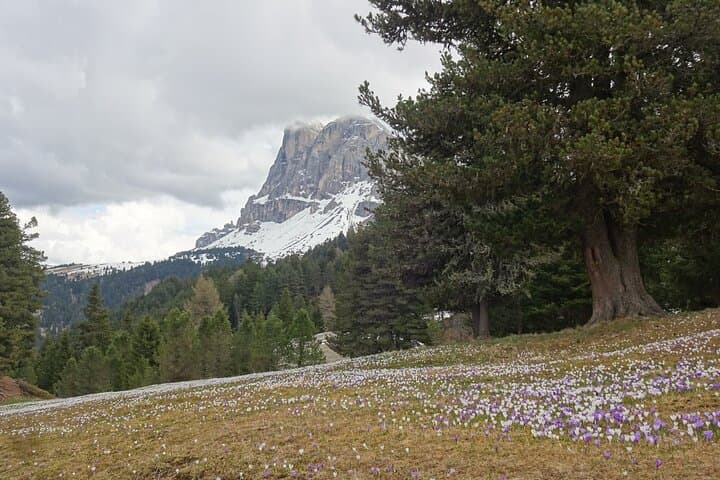 circumnavigate-peitlerkofel-hike-wurzjoch-dolomites-unesco photo 6