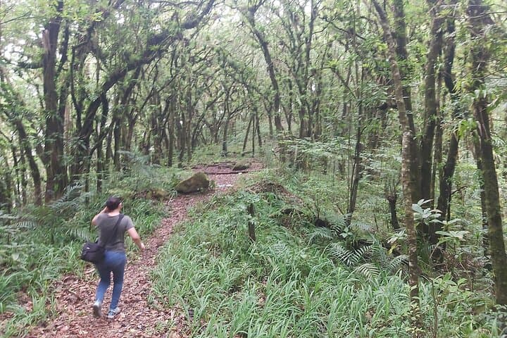 San Vicente Volcano High-Performance Trail: Challenging Hike to Chichontepec Summit photo 2
