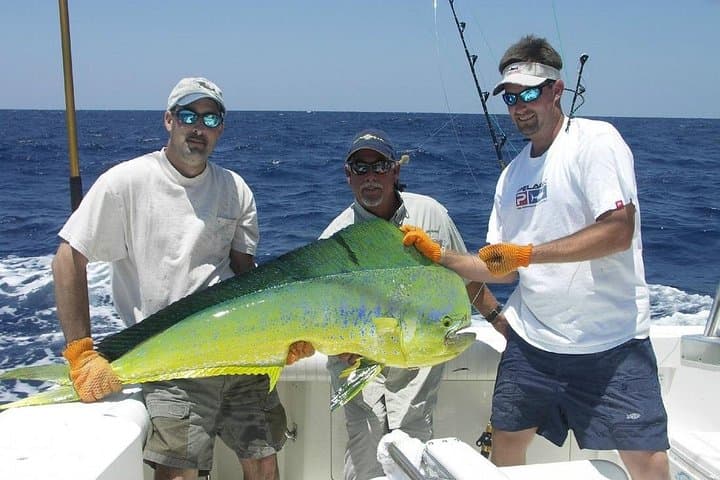Half-Day Deep-Sea Fishing Excursion from Sosua — Puerto Plata Sportfishing photo 3