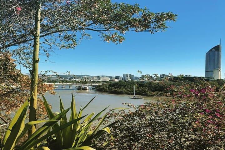 Brisbane City Highlights: River, Cliffs & Mt Coot-tha Minibus Tour photo 4
