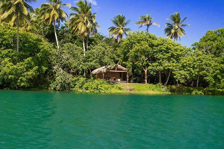 Cabarete Jungle Safari: Mangrove Boat Tour to the Mouth of Rio Yasica photo 2