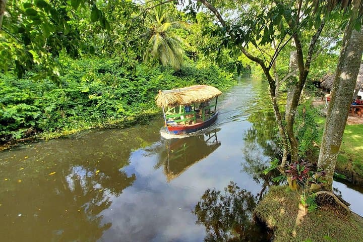 Cabarete Jungle Safari: Mangrove Boat Tour to the Mouth of Rio Yasica photo 1