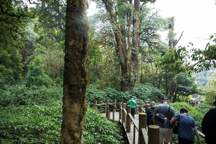 Doi Inthanon Full-Day Eco Tour: Thailand’s Highest Peak, Waterfalls & Hmong Village photo 2