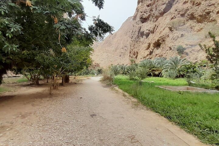 Oman Desert Overnight: Wahiba Sands, Wadi Bani Khalid, Wadi Shab and Sinkhole Camp Tour photo 4