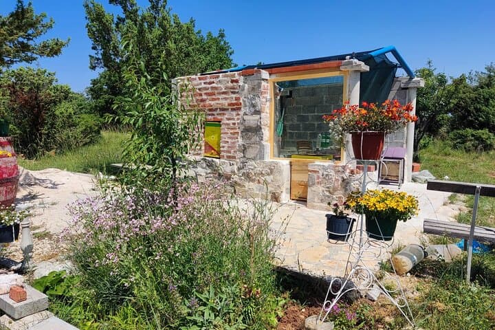 Private Bee Safari in Zadar: Apitherapy, Forest Walks & Honey Tasting